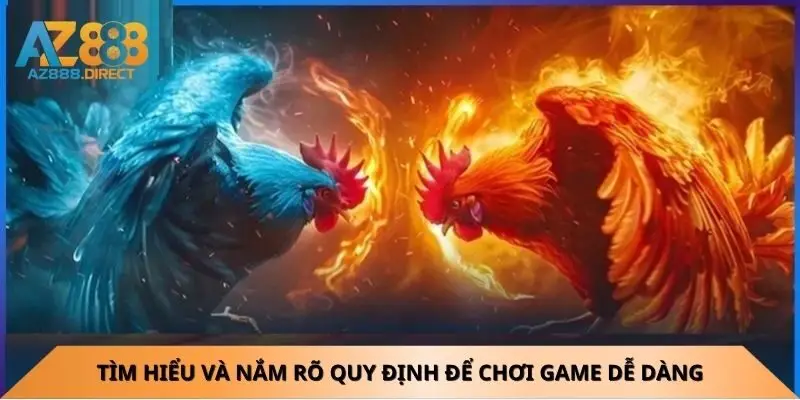 Tìm hiểu và nắm rõ quy định để chơi đá gà dễ dàng